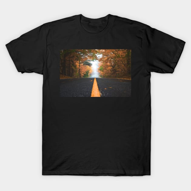 A road in the forest T-Shirt by Stoiceveryday